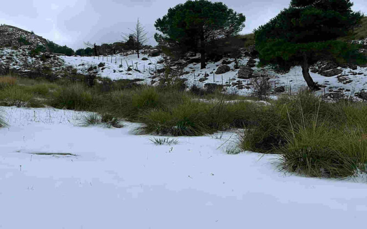 Meteo, Natale con la neve in Sicilia