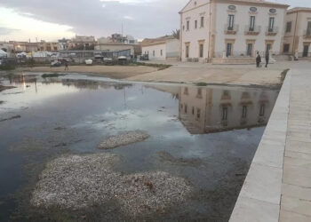 Porticciolo di Donnaluca: Entro gennaio via ai lavori, aggiudicata la gara d'appalto
