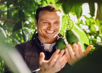 Sicilia Avocado: il superfood prodotto in Sicilia