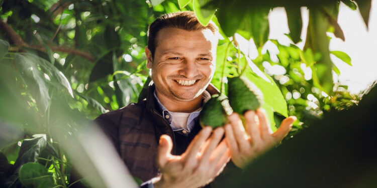 Sicilia Avocado: il superfood prodotto in Sicilia
