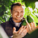 Sicilia Avocado: il superfood prodotto in Sicilia