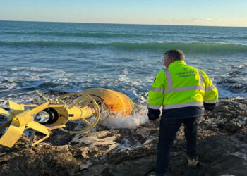 Boa luminosa spiaggiata nel mare di Sampieri