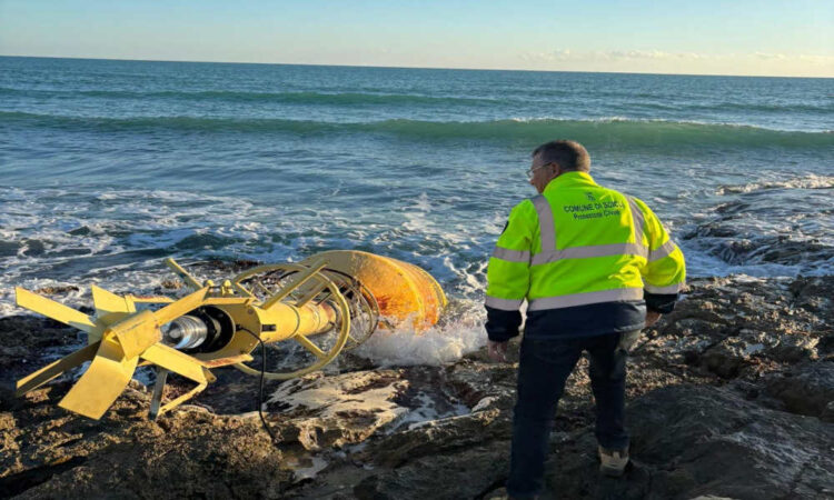 Boa luminosa spiaggiata nel mare di Sampieri