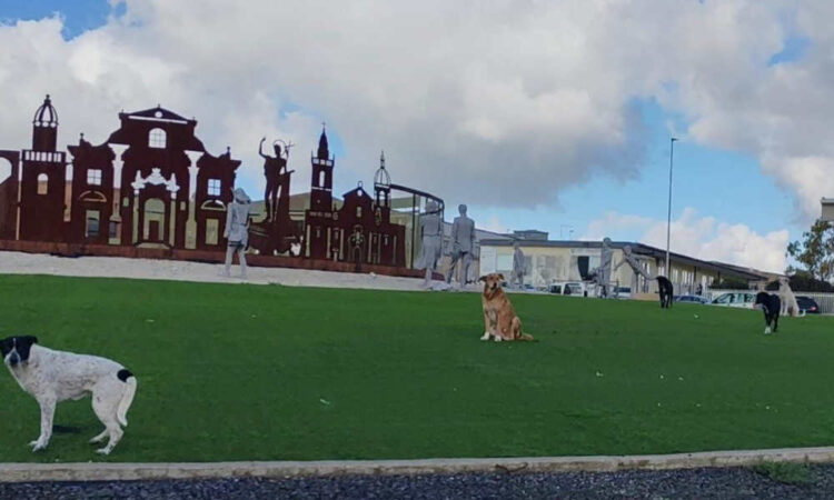 Ragusa, Firrincieli: non dobbiamo subire il randagismo, dobbiamo governarlo