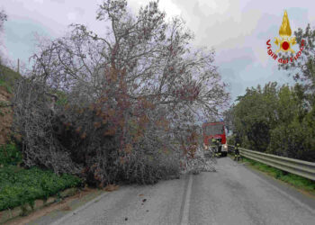 Maltempo con allerta rossa a Ragusa: oltre 40 richieste di soccorso