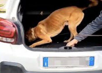 Un chilo di cocaina nella ruota di scorta di un'auto agli imbarcaderi di Messina