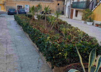 Comiso, Europa Verde chiede la tutela del verde pubblico