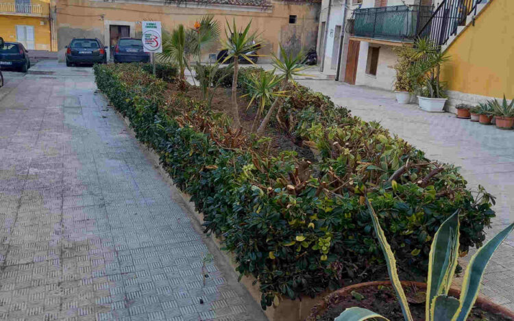 Comiso, Europa Verde chiede la tutela del verde pubblico