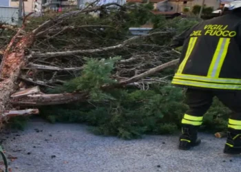 Maltempo in Sicilia, pioggia e vento fortissimo. Danni a Catania, Enna nel Messinese e Palermo