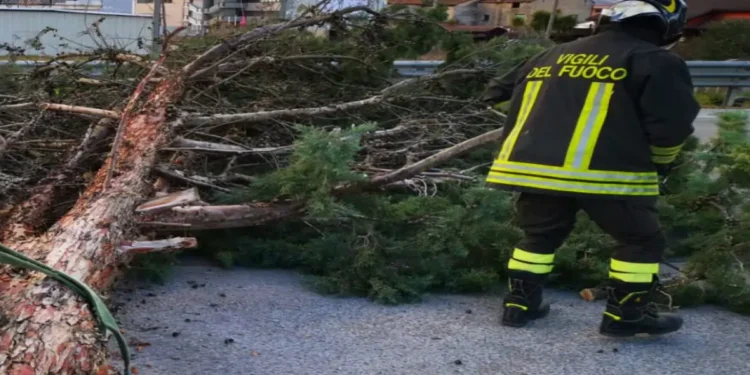 Maltempo in Sicilia, pioggia e vento fortissimo. Danni a Catania, Enna nel Messinese e Palermo