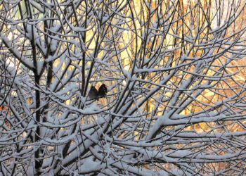 Maltempo in Sicilia, weekend con freddo artico, neve e vortice Mediterraneo
