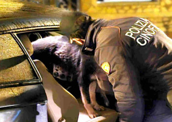 Caltanissetta, traffico di sostanze stupefacenti: 8 misure cautelari