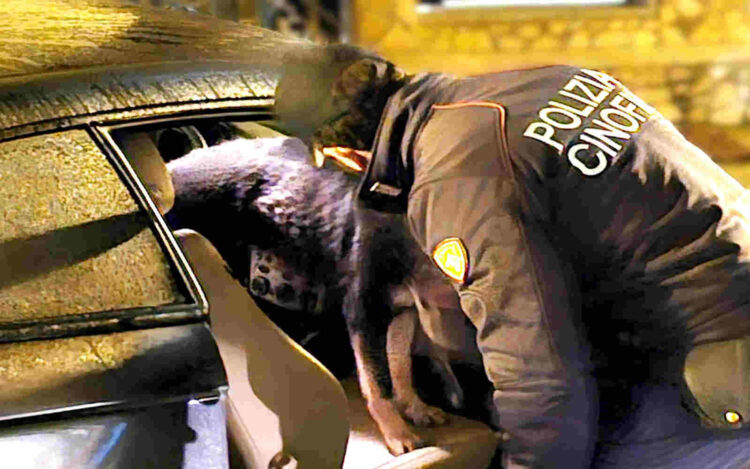 Caltanissetta, traffico di sostanze stupefacenti: 8 misure cautelari