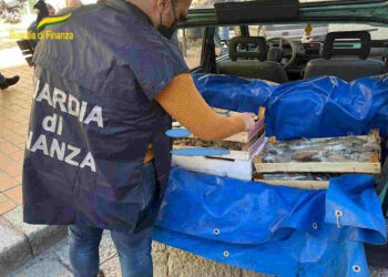 Palermo: sequestrati 8.5 tonnellate di pesce in cattive condizioni Igieniche a Santa Flavia