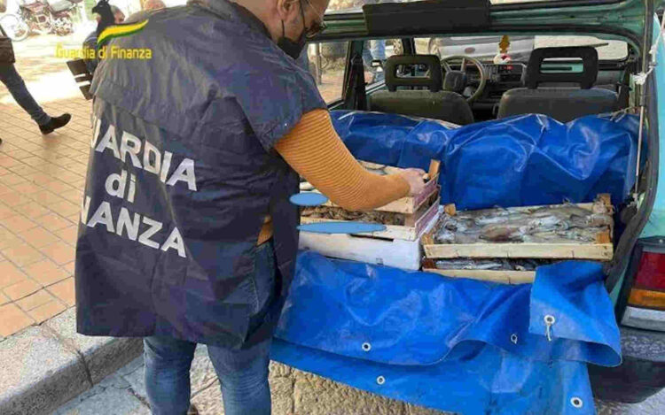 Palermo: sequestrati 8.5 tonnellate di pesce in cattive condizioni Igieniche a Santa Flavia