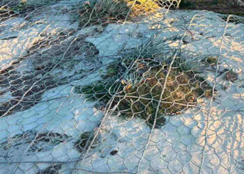 Vittoria: consolidamento del fronte roccioso in contrada Cappellaris, aggiudicata la gara