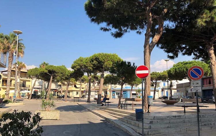 Fare Verde Vittoria, ennesima strage di alberi a Scoglitti