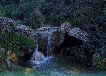 Monreale, oggi escursione naturalistica gratuita al Torrente della Molara