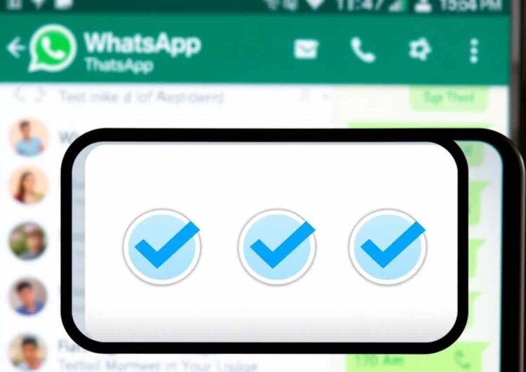 terza spunta blu di whatsapp