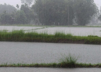 Maltempo in Sicilia: allerta arancione blocca il traffico ferroviario