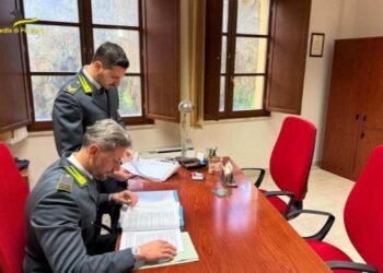 Caltanissetta: lotta agli illeciti in materia di spesa pubblica. Bloccati 300 mila euro