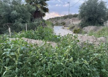 Comiso: 2 anni di promesse non mantenute