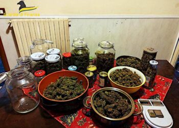 Catania: arrestati padre e figlio per spaccio di droga e detenzione di esplosivi