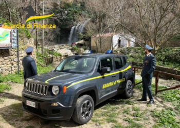 Palermo, sequestrati 3 mila litri di latte bovino non tracciato