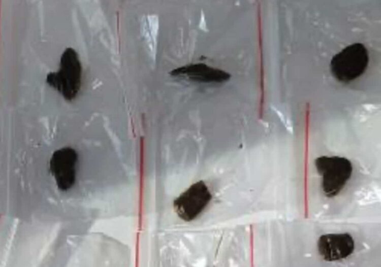 Ispica, 21enne di denunciato per detenzione di 68 grammi di hashish