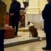 E' morta Sally, la cagnolina che partecipava ai funerali