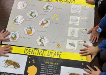 Agromonte e 3Bee, salvaguardia biodiversità: evento speciale in una scuola di Vittoria
