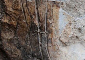 Oggi Termini Imerese Storia di un territorio