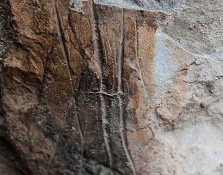 Oggi Termini Imerese Storia di un territorio