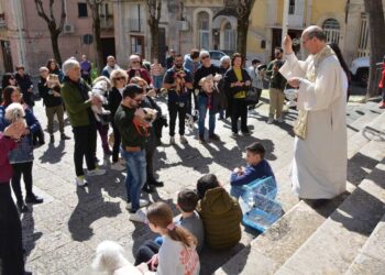 San Giuseppe a Ragusa oggi la benedizione degli animali