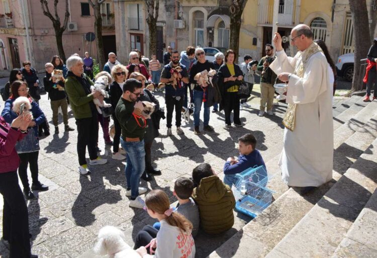 San Giuseppe a Ragusa oggi la benedizione degli animali