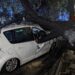 Forte vento su Palermo: albero cade su auto, donna illesa