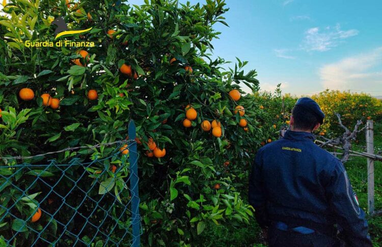 Catania, un arresto per caporalato
