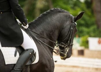 Dressage, la sciclitana Maria Maddalena Cartia prima a Catania
