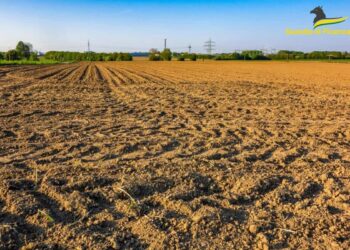 Ragusa, scoperta frode all'Unione Europea per 270 mila euro: denunciato modicano