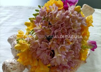 La fresia, un fiore antico e profumato: ecco perchè è simbolo di mistero e magia