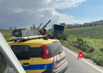 Incidente sulla Gela-Vittoria