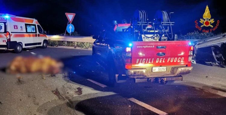 Bovino investito sulla strada che collega Ragusa con Marina: feriti gli occupanti dell'auto. Morto il bovino