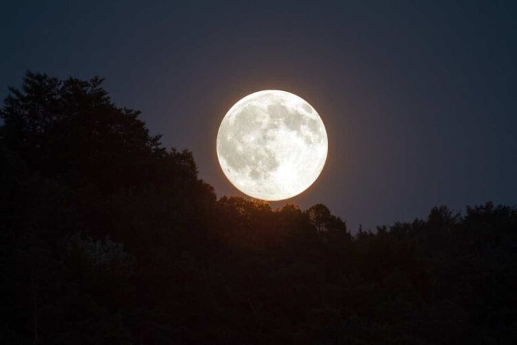 Arriva la Superluna fredda: ecco quando vederla