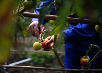 Crisi agricola, incontro a Palazzo Iacono
