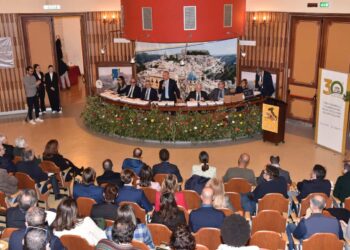 Ragusa, olio: ecco le aziende vincitrici del Premio Ercole Olivario Sicilia