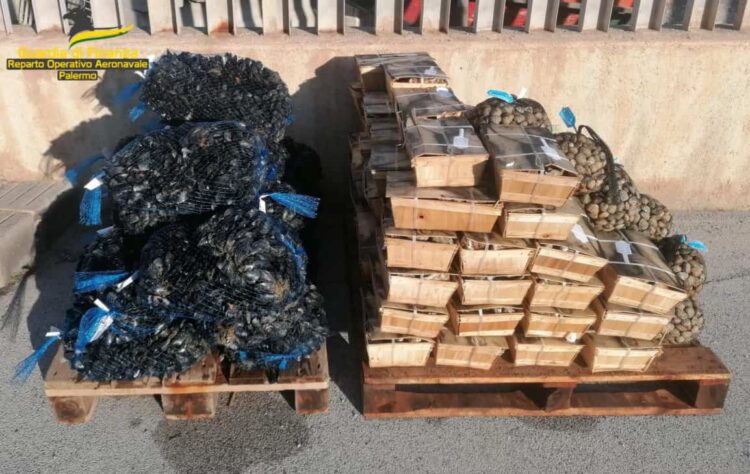 Palermo: sequestrati 500 kg di molluschi bivalvi di varie specie non idonei al consumo