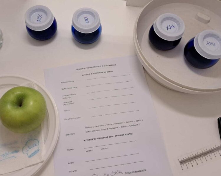 Undici eccellenze dell'olio siciliano all'Oscar nazionale Premio Ercole Olivario