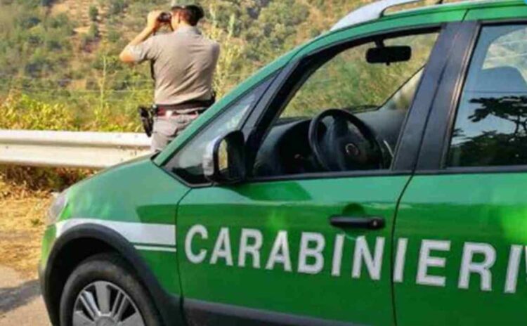 Concorso per 12 Tenenti nel ruolo Forestale dell'Arma dei Carabinieri