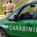 Concorso per 12 Tenenti nel ruolo Forestale dell'Arma dei Carabinieri