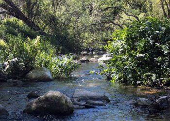 Legambiente Ragusa su deflusso minimo del fiume Irminio